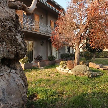 Hotel Magnolia Savignano sul Rubicone Zewnętrze zdjęcie