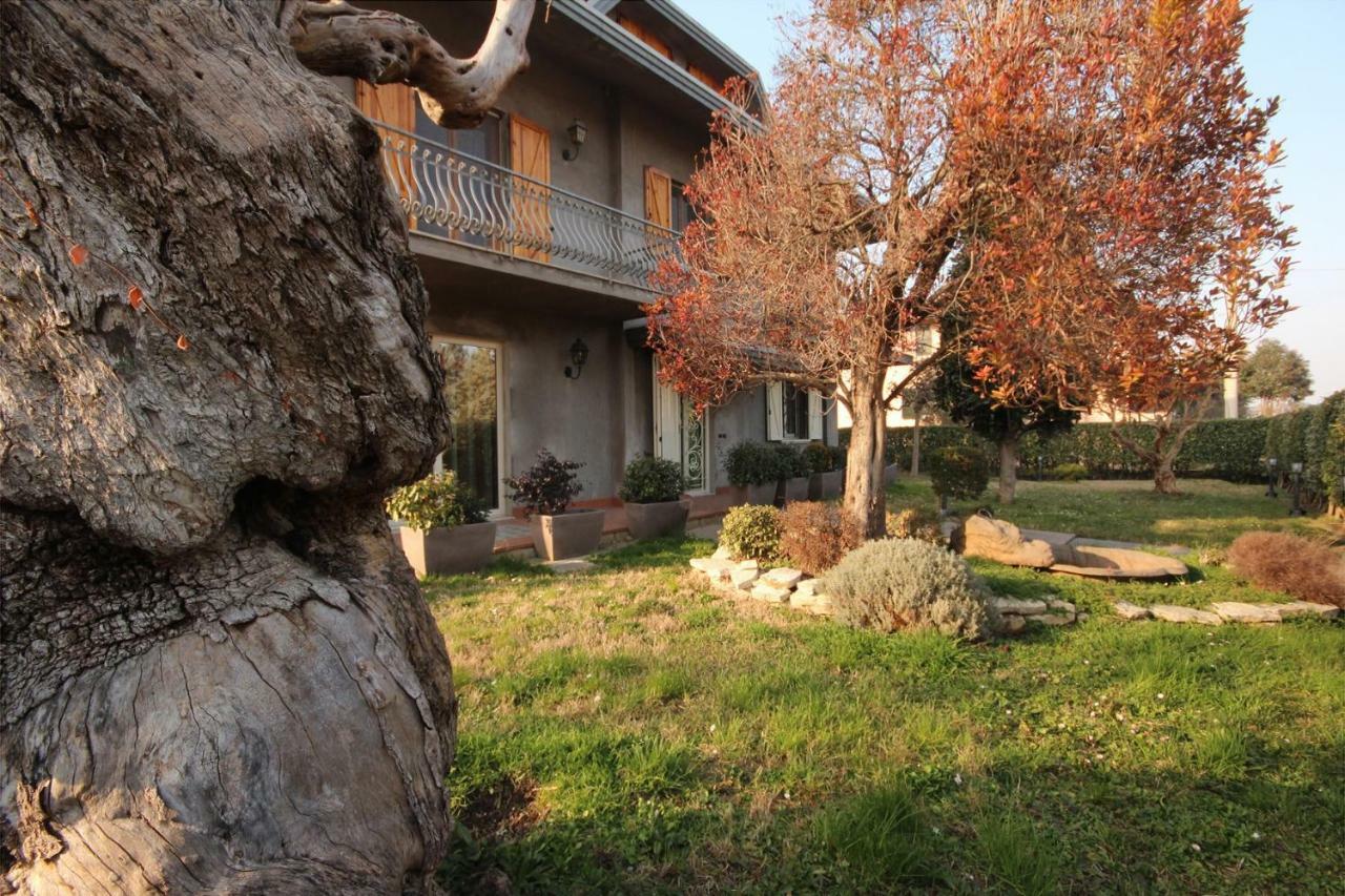 Hotel Magnolia Savignano sul Rubicone Zewnętrze zdjęcie